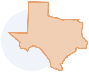 icon of the shape of the state of Texas