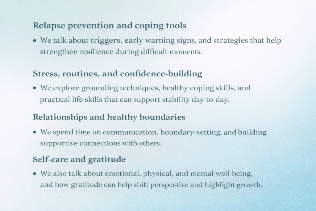 An infographic outlining the tools and topics while meeting in peer support. 