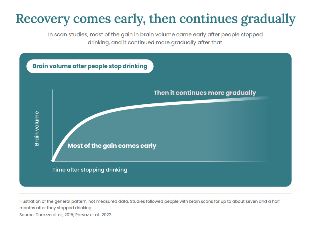 brain-recovery-front-loaded-curve - Eleanor Health Curve showing brain volume after people stop drinking: it rises steeply at first, then flattens and continues more gradually. Illustration of the general pattern, not measured data